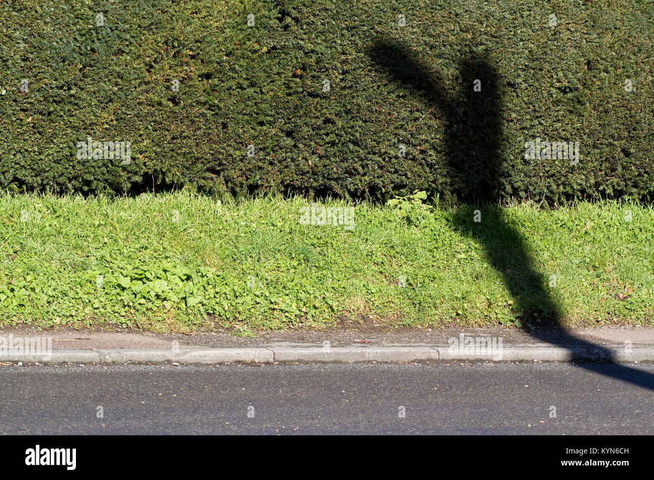 Odd shaped shadow being cast by a street light on a hedge and grass verge Stock Photo