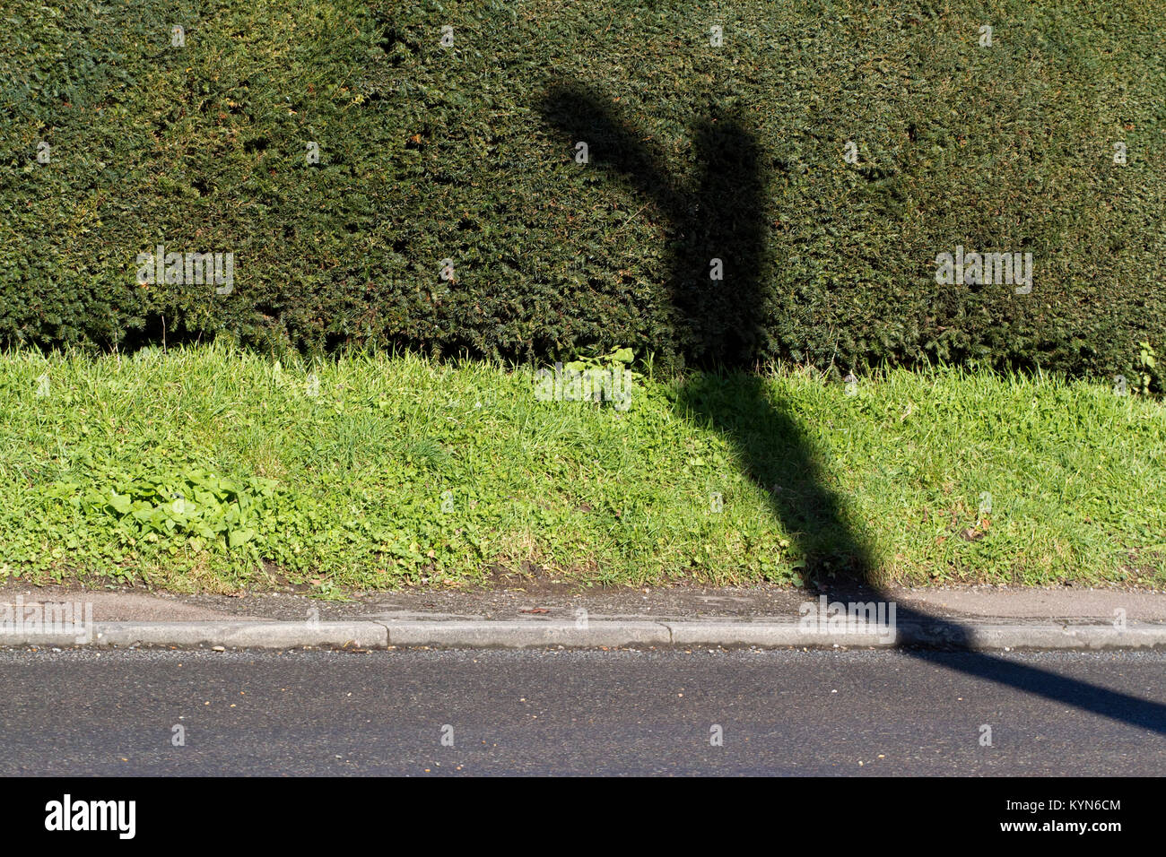 Odd shaped shadow being cast by a street light on a hedge and grass verge Stock Photo