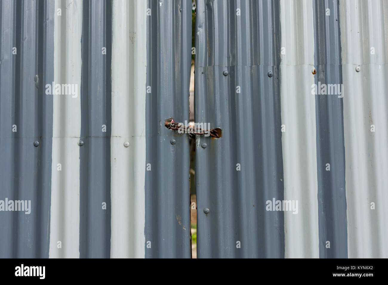 Painted corrugated metal gate padlocked shut with a rusty heavy duty metal chain. Stock Photo