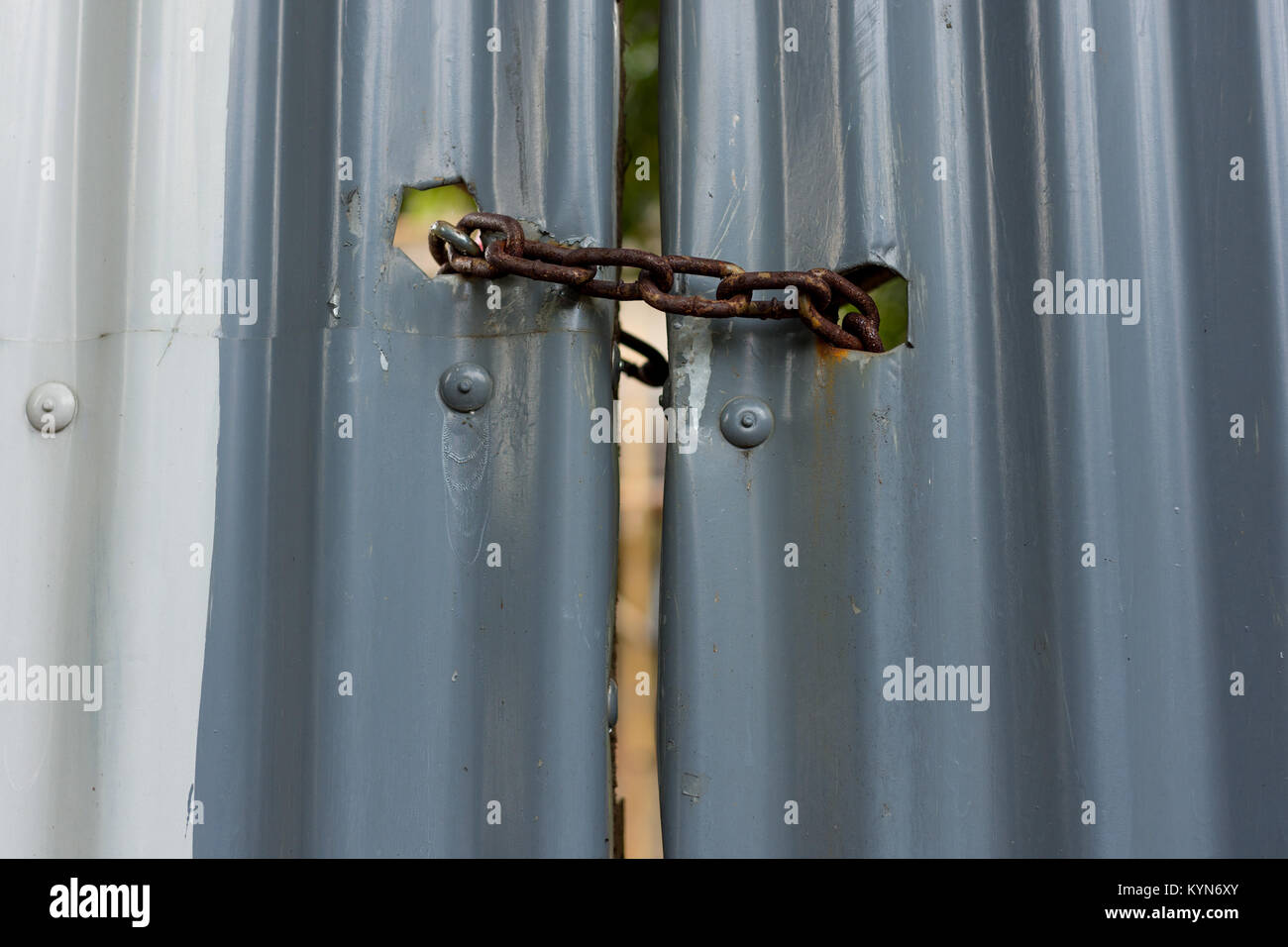 Painted corrugated metal gate padlocked shut with a rusty heavy duty metal chain. Stock Photo