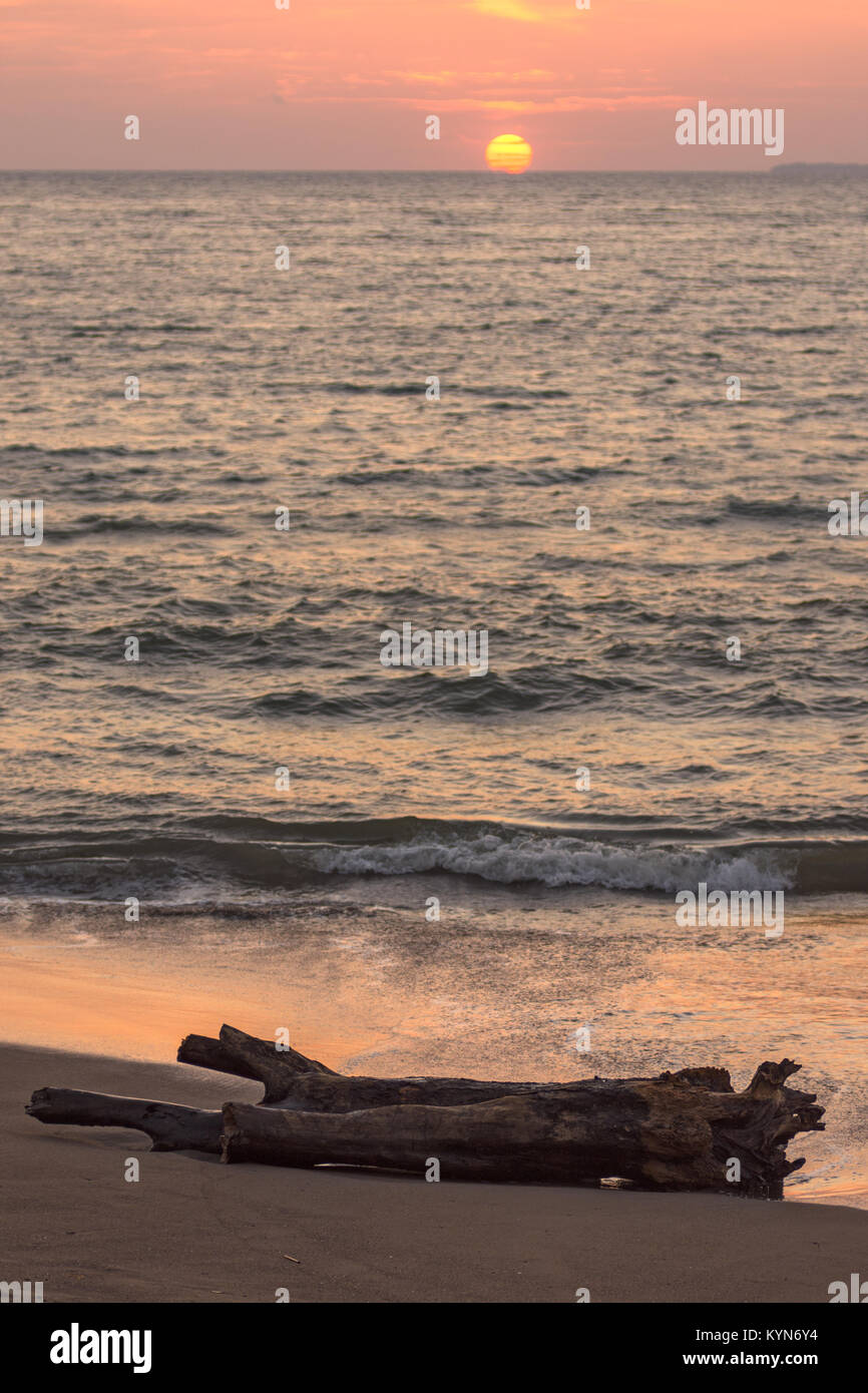 A large washed up log of drift wood on a fine sandy beach during a pastel coloured sun set over a calm sea. Stock Photo
