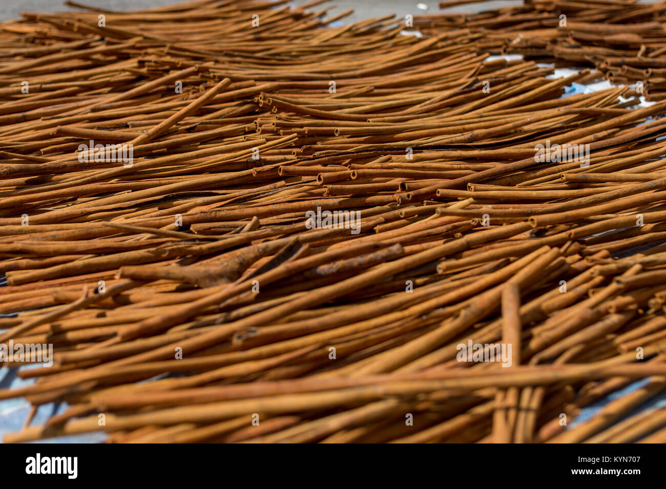 Fresh Cinnamon sticks out in the street drying in the midday sun. Low angle depth of field shot. Stock Photo