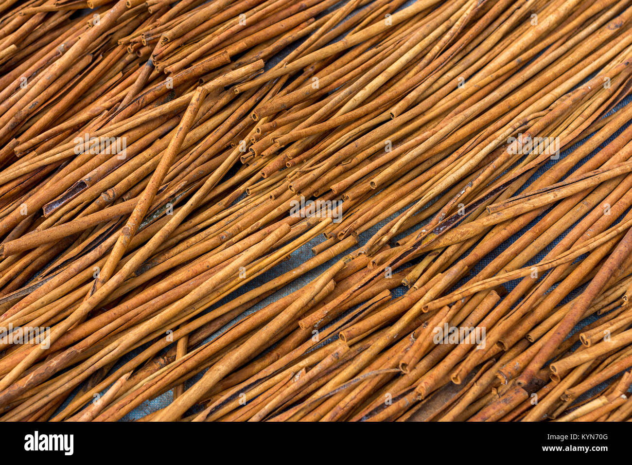 Fresh Cinnamon sticks out in the street drying in the midday sun. Viewed from above. Stock Photo