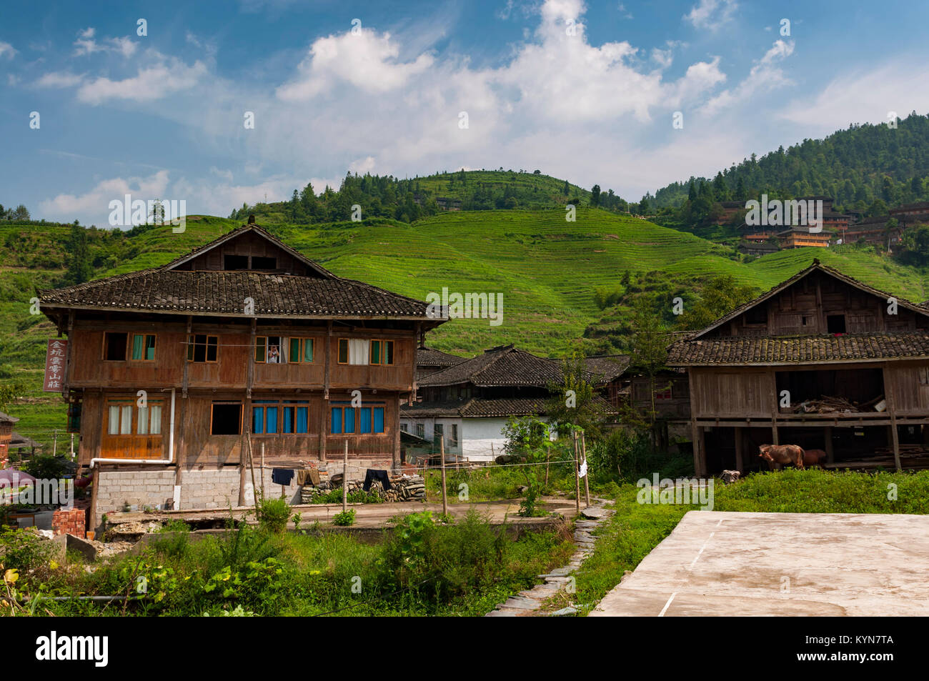 Dazhai, China - August 3 ,2012: View of the village of Dazhai, with wood houses and rice fields along the slopes of the surrounding mountains in China Stock Photo