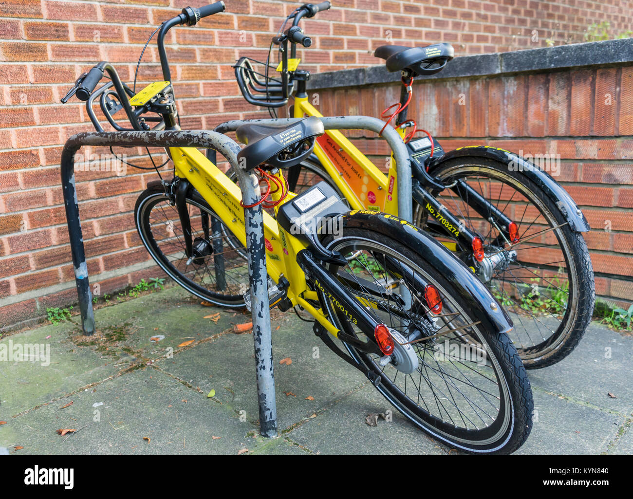 Two yellow YoBikes in 2018 - which are dockless smart bikes for hire in Southampton, England, UK Stock Photo