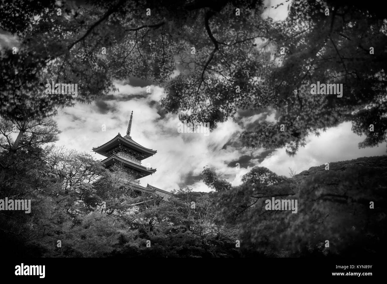 Dramatic artistic black and white photograph of sanjunoto pagoda of kiyomizu dera buddhist temple in kyoto japan in a beautiful scenery behind japane