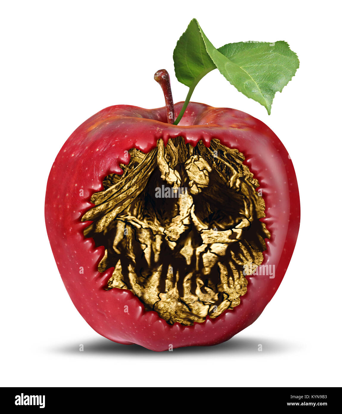 Poison apple and food safety concept as a rotten fruit with a