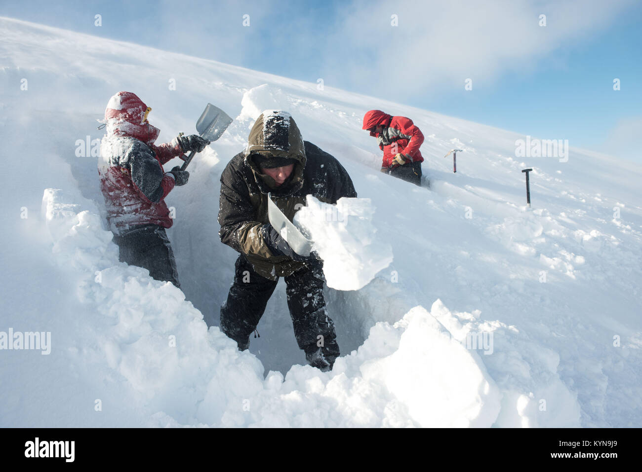 Snow hole digging - getting started. ©Paul Glendell Stock Photo