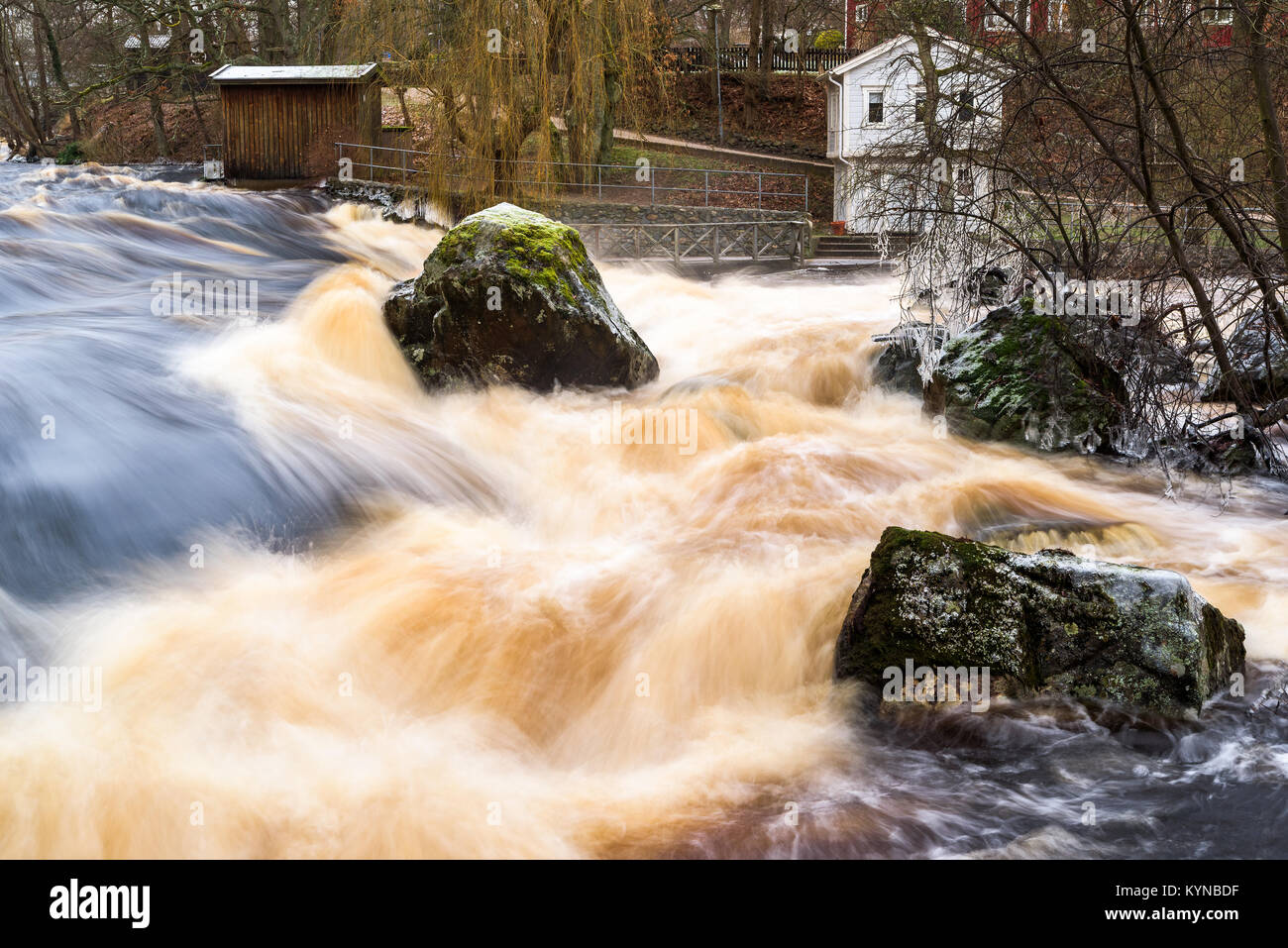 Early spring flood in the Morrum river in Sweden. Extreme amounts of water makes the river overflow and the water rush furiously over rocks and trees. Stock Photo