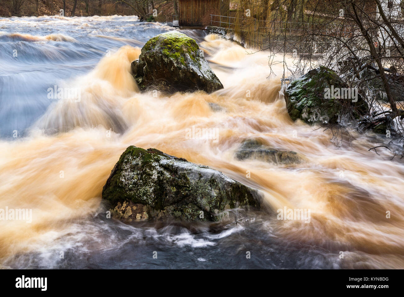 Early spring flood in the Morrum river in Sweden. Extreme amounts of water makes the river overflow and the water rush furiously over rocks and trees. Stock Photo