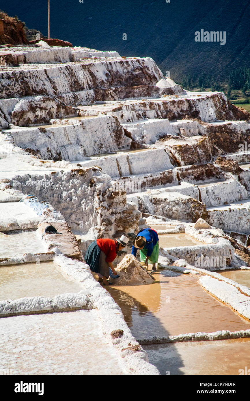 Locals work collect salt at that salt pans in Salineras near Maras, Peru. Stock Photo