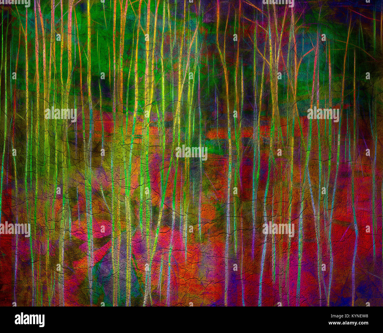 FINE ART: The Presence of Trees Stock Photo