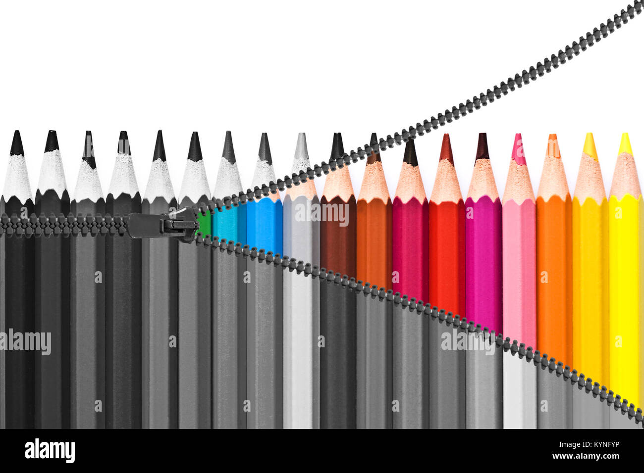 Zipper revealing colorful pencils, from black and white to colors, rainbow colors concept Stock Photo