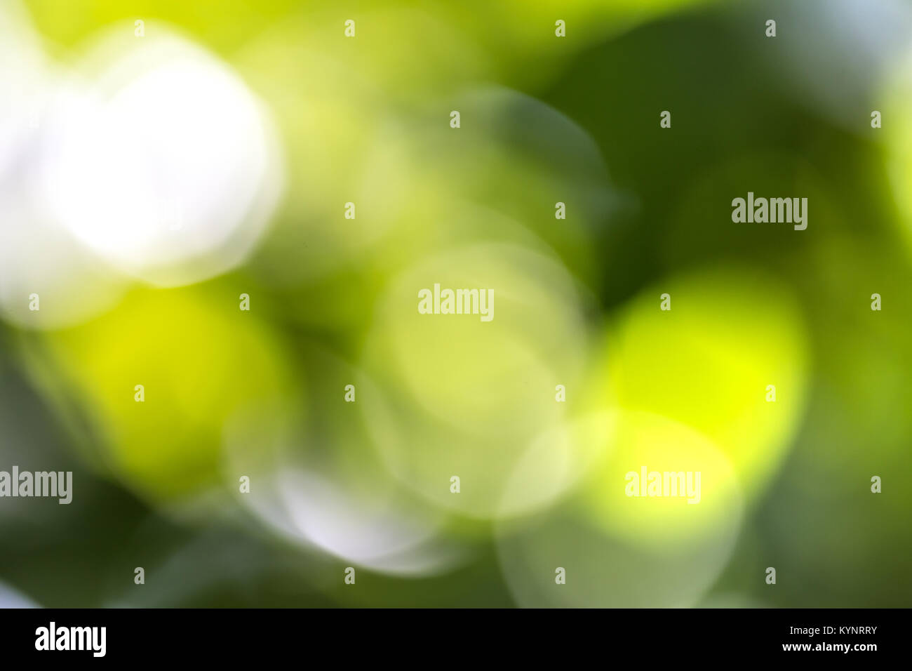 Green bokeh background. Blur image of garden in sunny day. Natural  background concept Stock Photo - Alamy