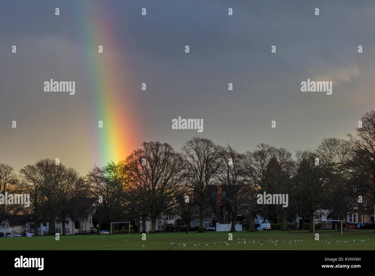 Northampton. U.K. Weather, Abington park. 15th January 2018. Changeable weather today giving a colourful rainbow late afternoon. Credit: Keith J Smith./Alamy Live News Stock Photo