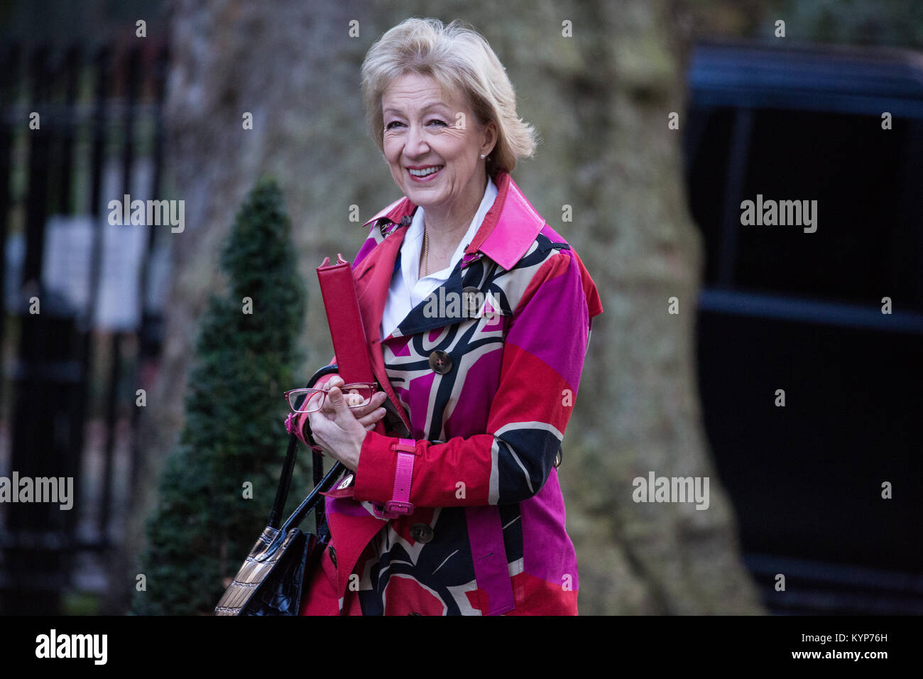 London, UK. 16th Jan, 2018. Andrea Leadsom MP, Lord President of the Council and Leader of the House of Commons, arrives at 10 Downing Street for a Cabinet meeting. Subjects expected to be discussed include the collapse of Carillion. Credit: Mark Kerrison/Alamy Live News Stock Photo