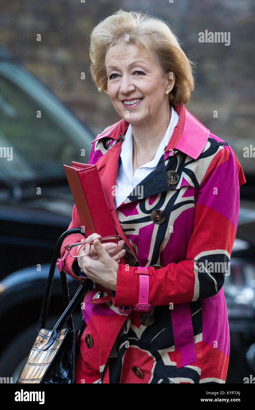 London, UK. 16th Jan, 2018. Andrea Leadsom MP, Lord President of the Council and Leader of the House of Commons, arrives at 10 Downing Street for a Cabinet meeting. Subjects expected to be discussed include the collapse of Carillion. Credit: Mark Kerrison/Alamy Live News Stock Photo