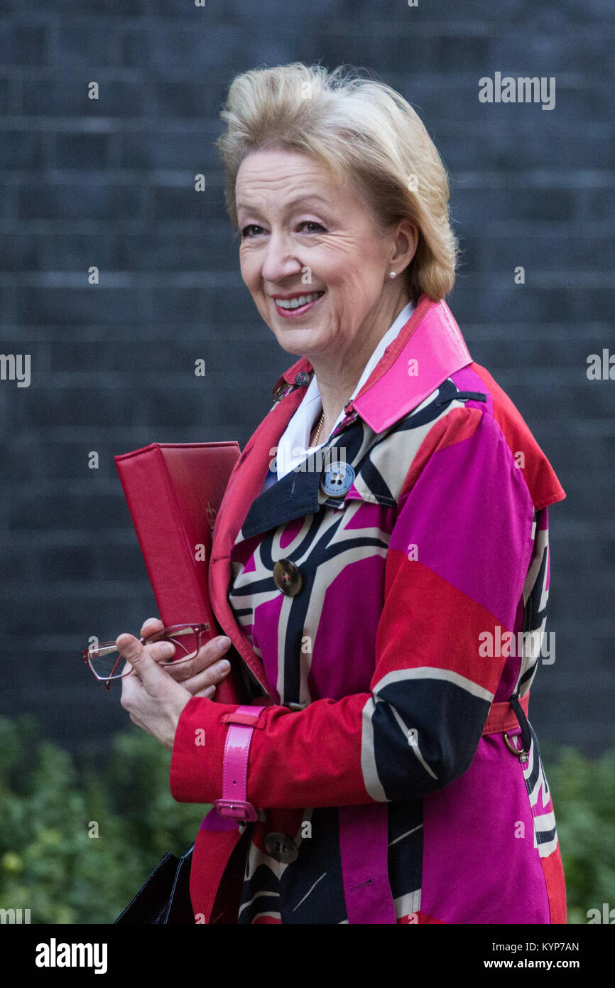 London, UK. 16th Jan, 2018. Andrea Leadsom MP, Lord President of the Council and Leader of the House of Commons, arrives at 10 Downing Street for a Cabinet meeting. Subjects expected to be discussed include the collapse of Carillion. Credit: Mark Kerrison/Alamy Live News Stock Photo