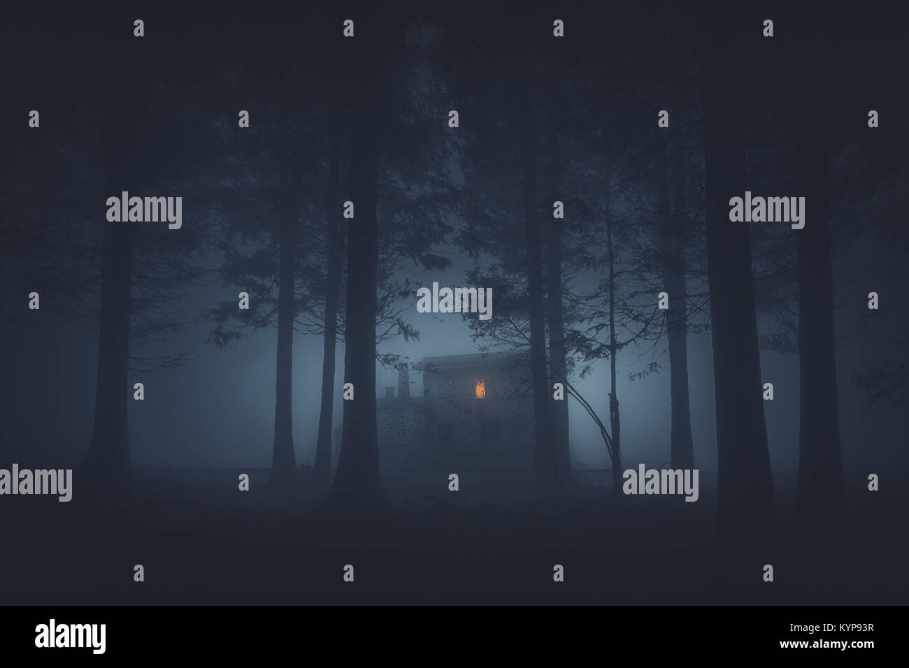 scary house in mysterious horror forest at night Stock Photo