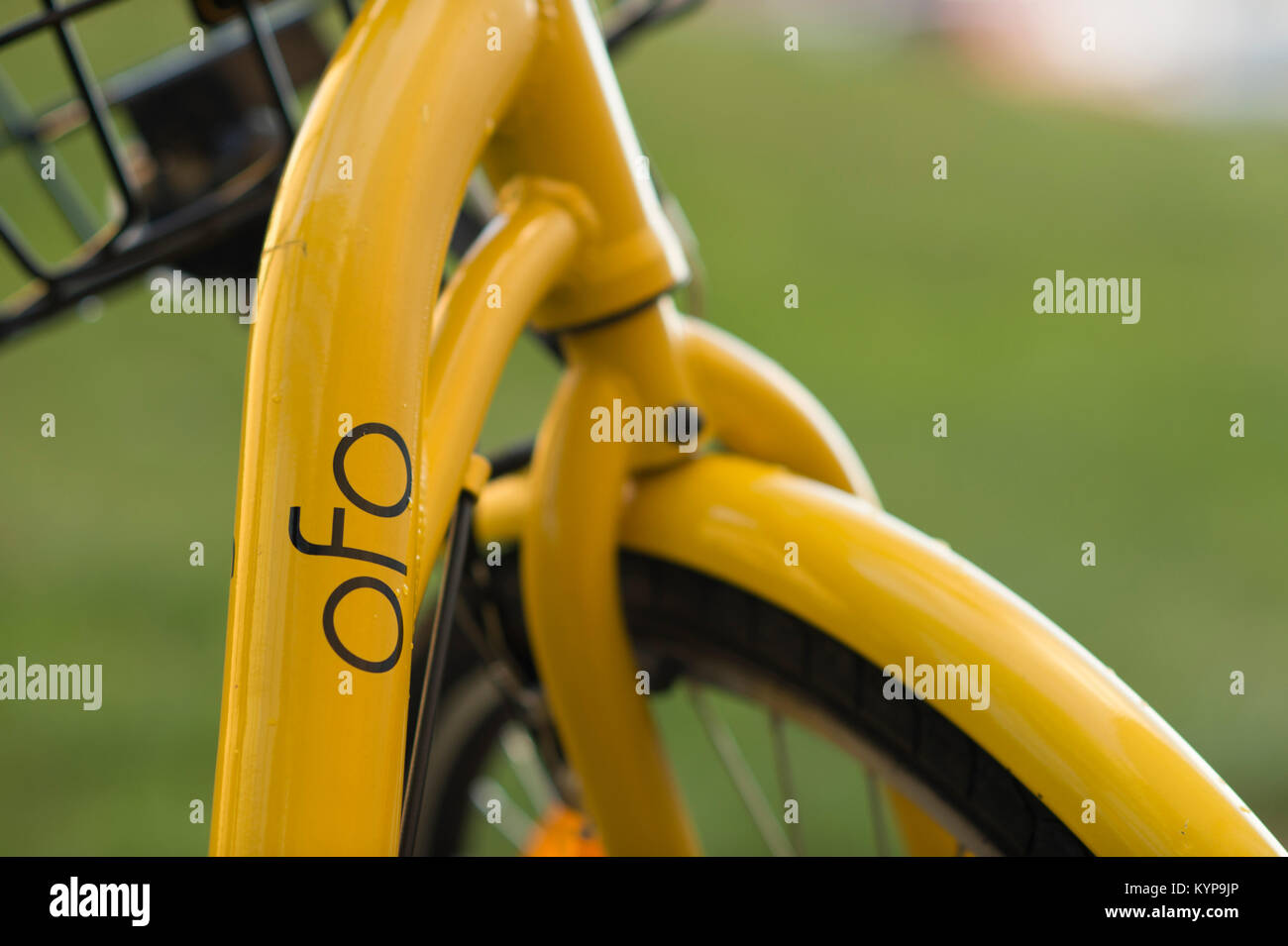 ofo yellow bike