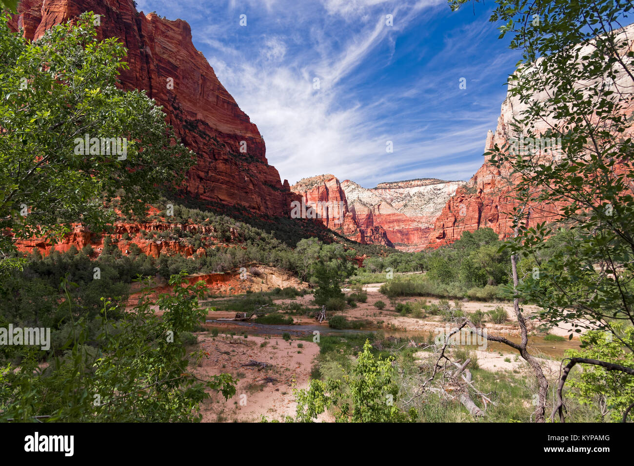 Canyon in the state of Utah southwest of the United States. Impressive rock formations and deep gorges engraved and shaped by the strength of  water Stock Photo