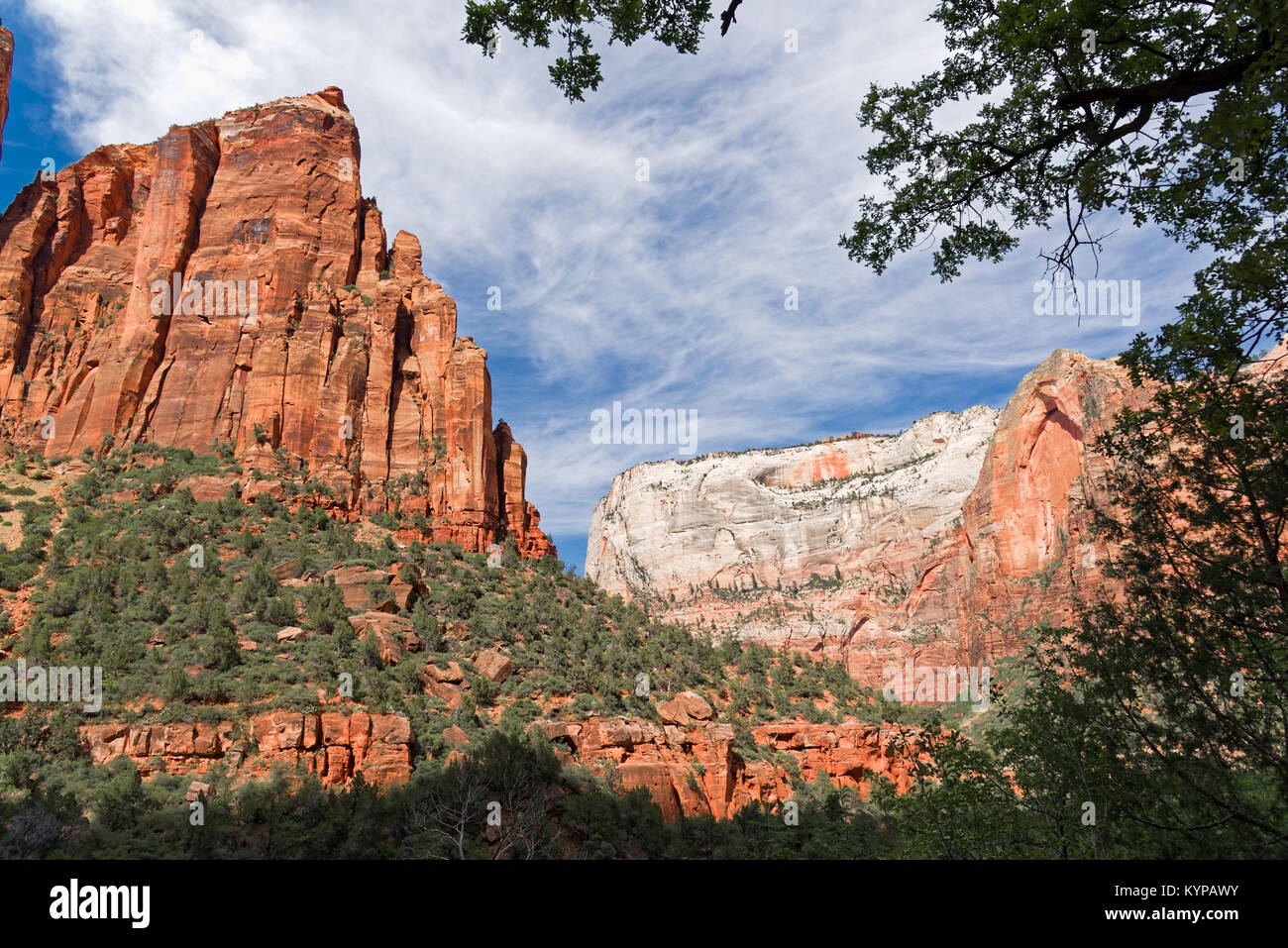 Canyon in the state of Utah southwest of the United States. Impressive rock formations and deep gorges engraved and shaped by the strength of  water Stock Photo