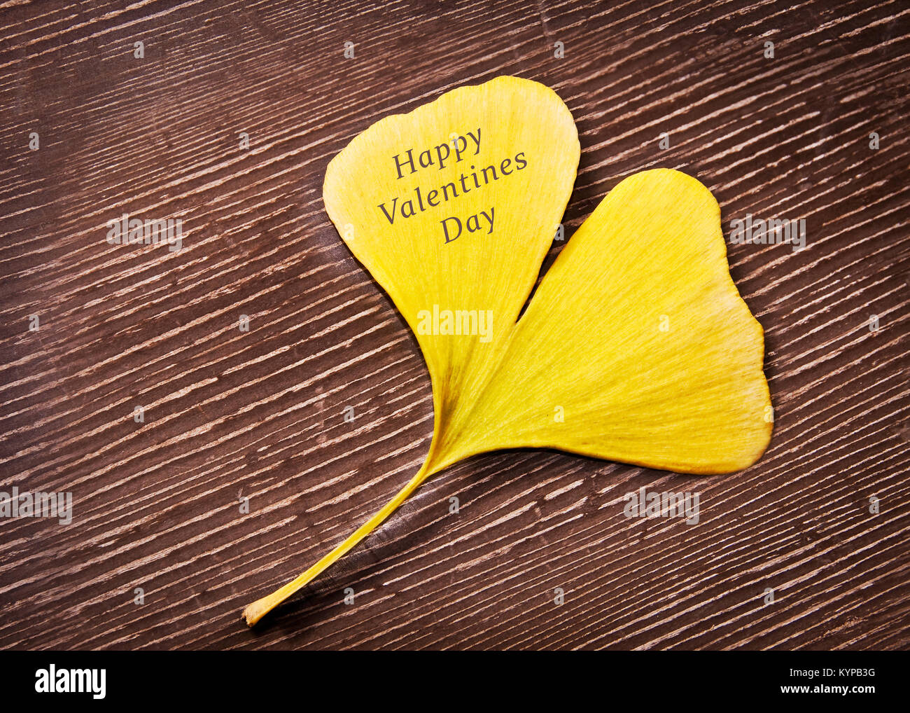Happy Valentines day written on a heart shaped yellow ginkgo biloba leaf Stock Photo