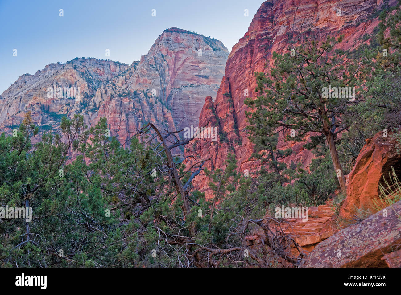 Canyon in the state of Utah southwest of the United States. Impressive rock formations and deep gorges engraved and shaped by the strength of the wate Stock Photo