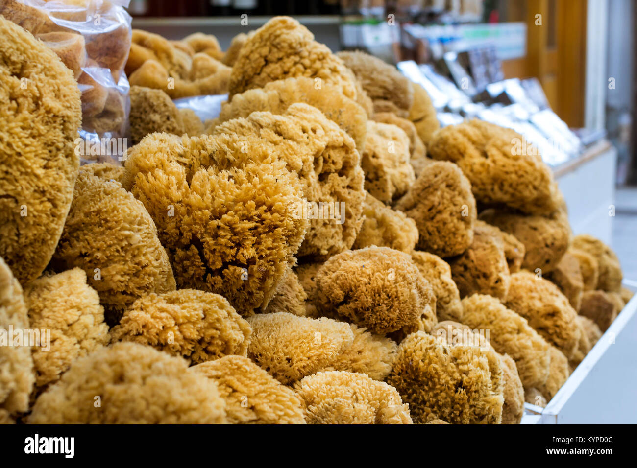 Greek Sea Sponge Stock Photos and Pictures - 692 Images