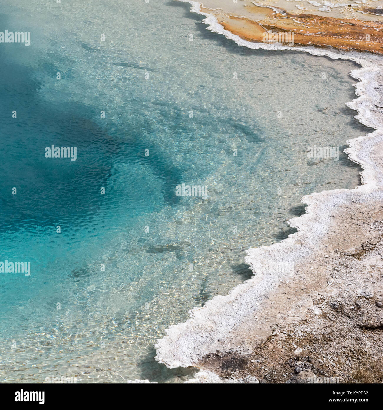 Water turn bluer as the temperature goes up in a Yellowstone geyser hotspring. Stock Photo