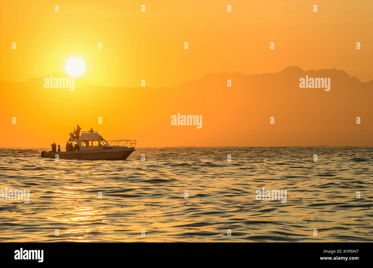 Tropical fish ocean boat hi-res stock photography and images - Alamy