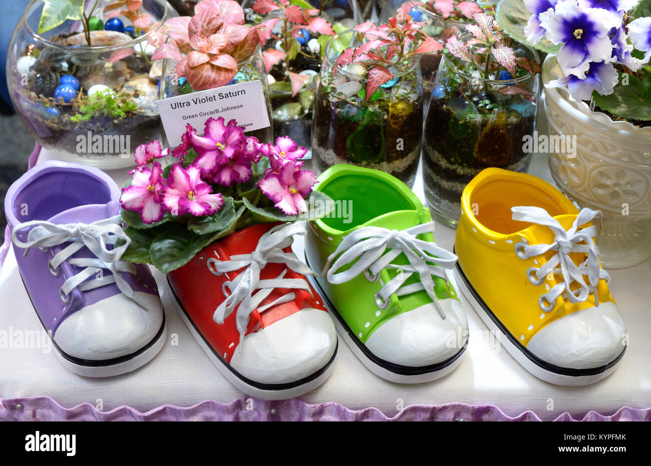 Close-up of baby shoes with ultra violet Saturn in one of them. Festival of violets and flower arranging. January 11,2018. Kiev, Ukraine Stock Photo