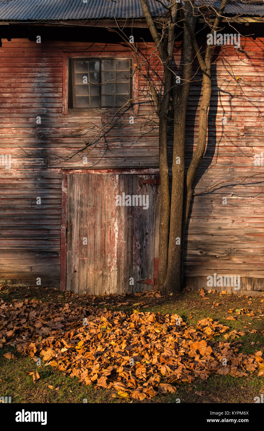 Barn on site of former tannery in Deerpark,  New York, USA - Stock Image