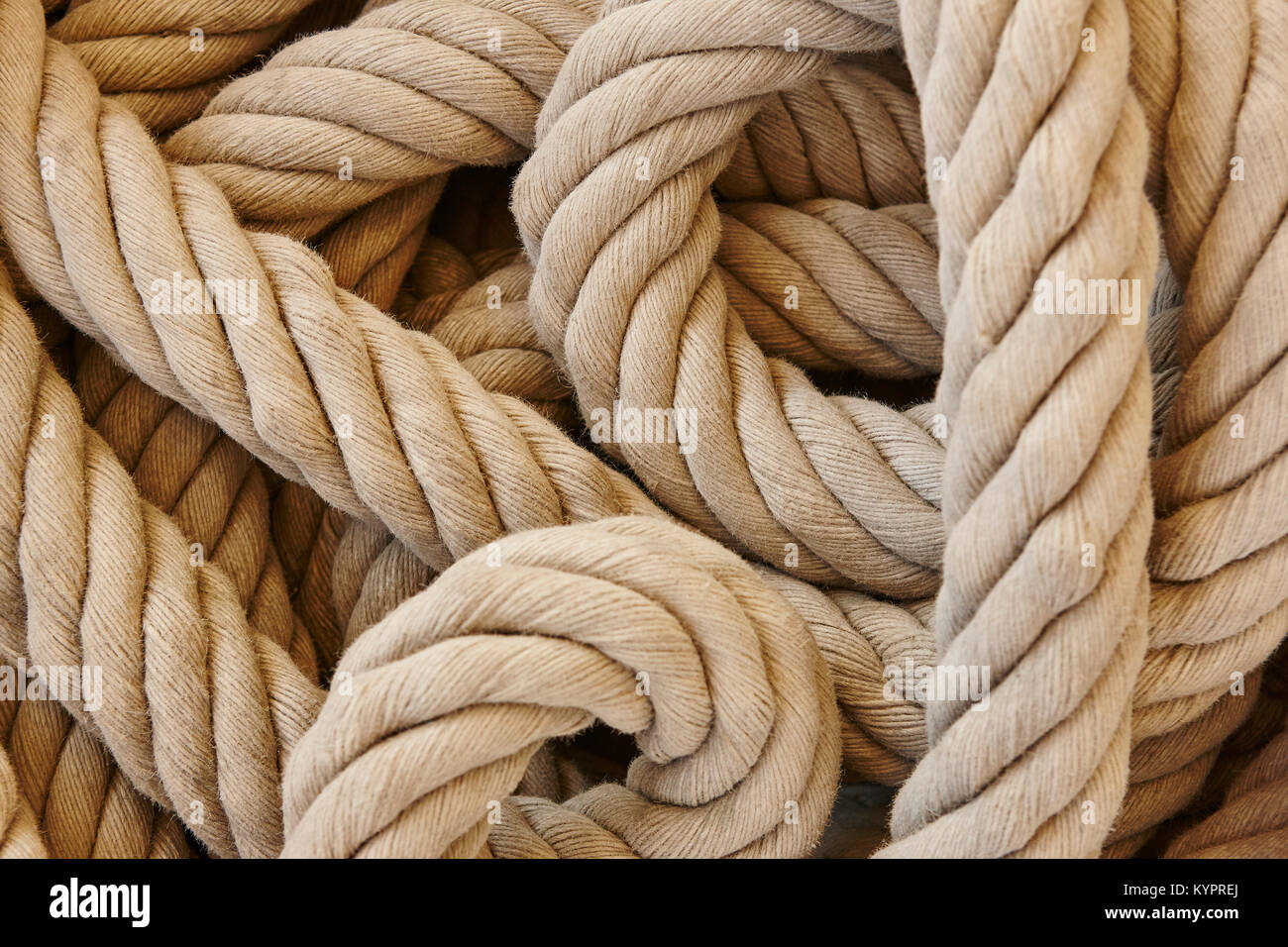 Thick rope with loops. Marine background. Horizontal Stock Photo