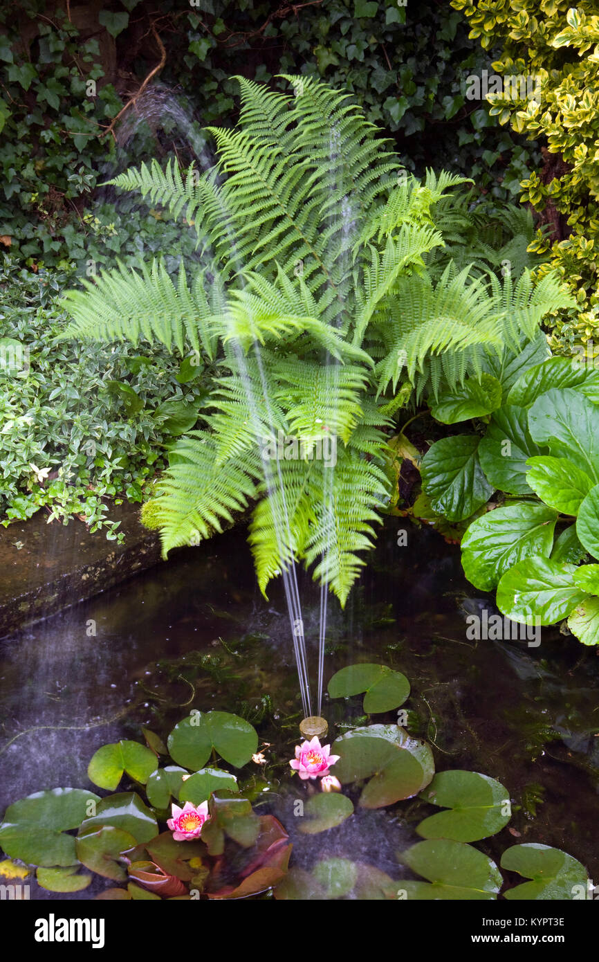 Corner of a small garden pond with a fountain and water lilies Stock Photo