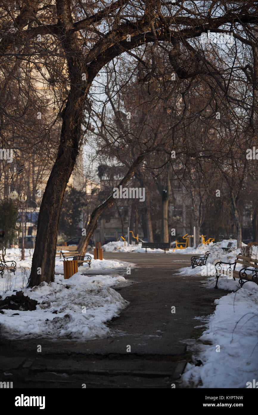 Empty park alley in hi-res stock photography and images - Alamy