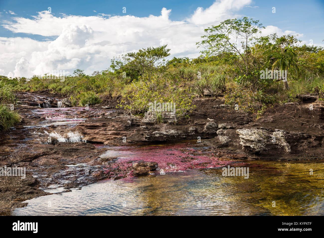 La Macarena, an isolated town in Colombia's Meta department, is famous for Caño Cristales, the River of Five Colors. Stock Photo