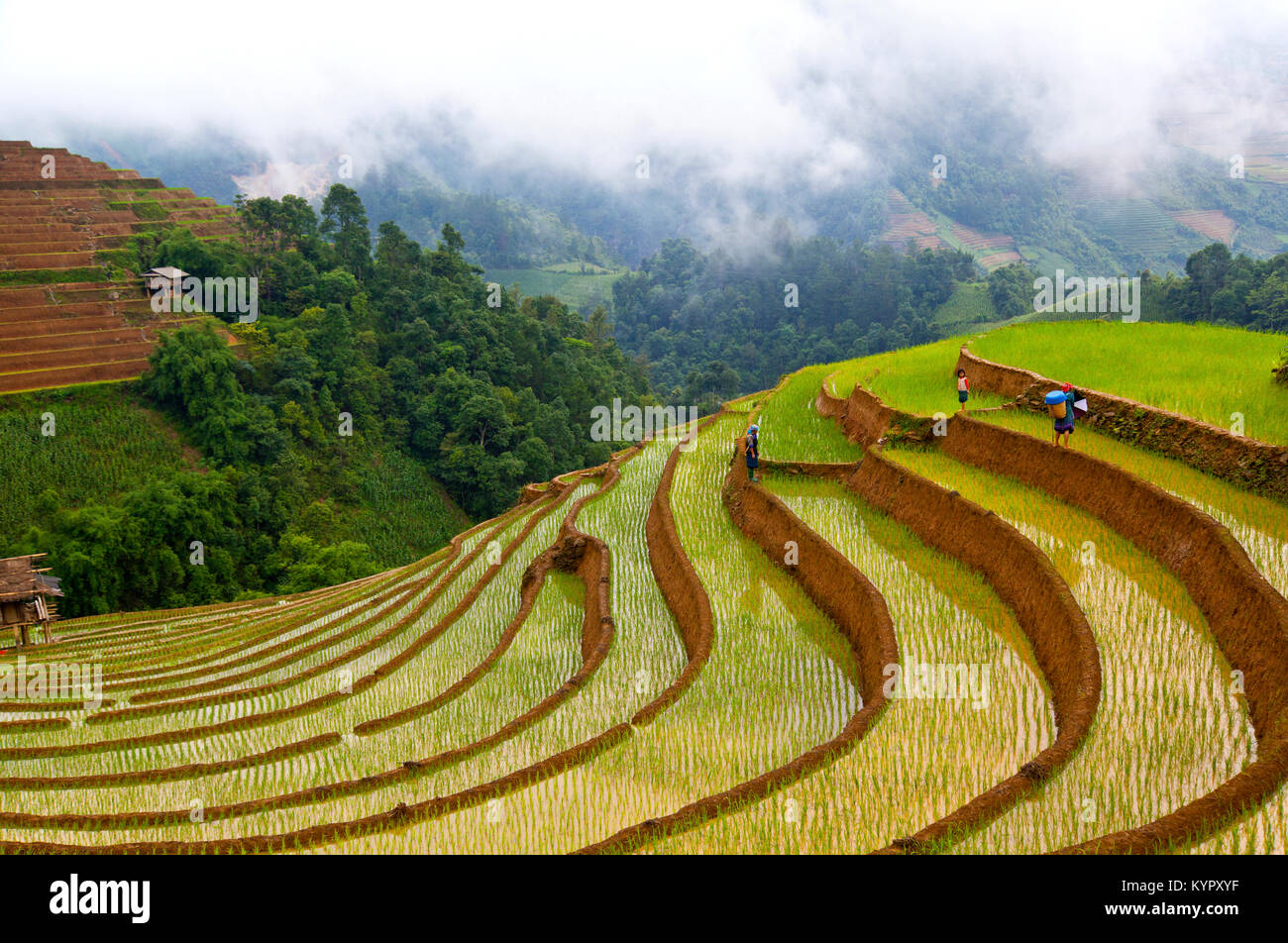 Black Hmong women and girl walking in rice terraces in Mu Cang Chai area, Yen Bai province, in northwestern part of Vietnam. Stock Photo