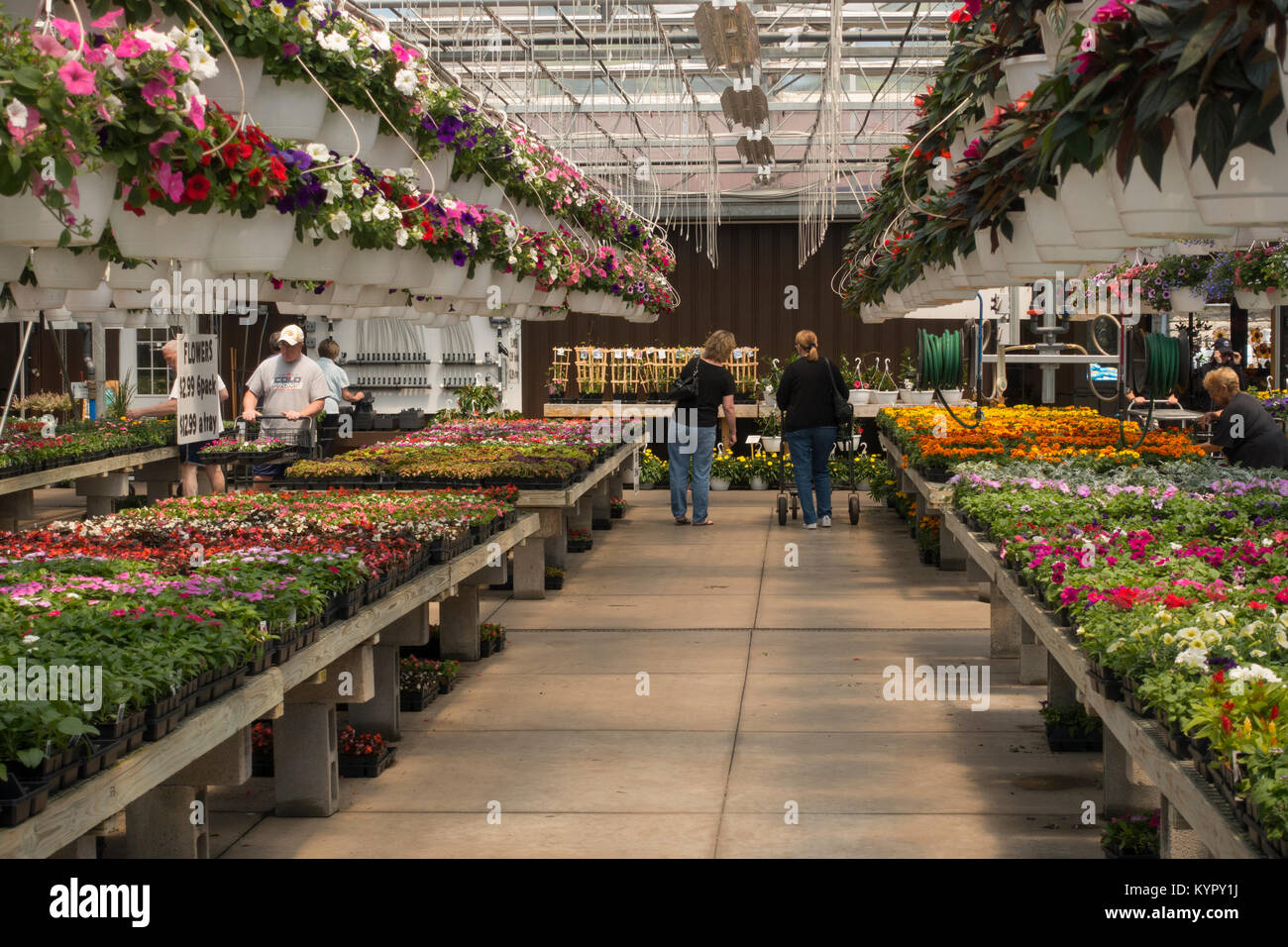 greenhouse in Lockport NY Stock Photo Alamy