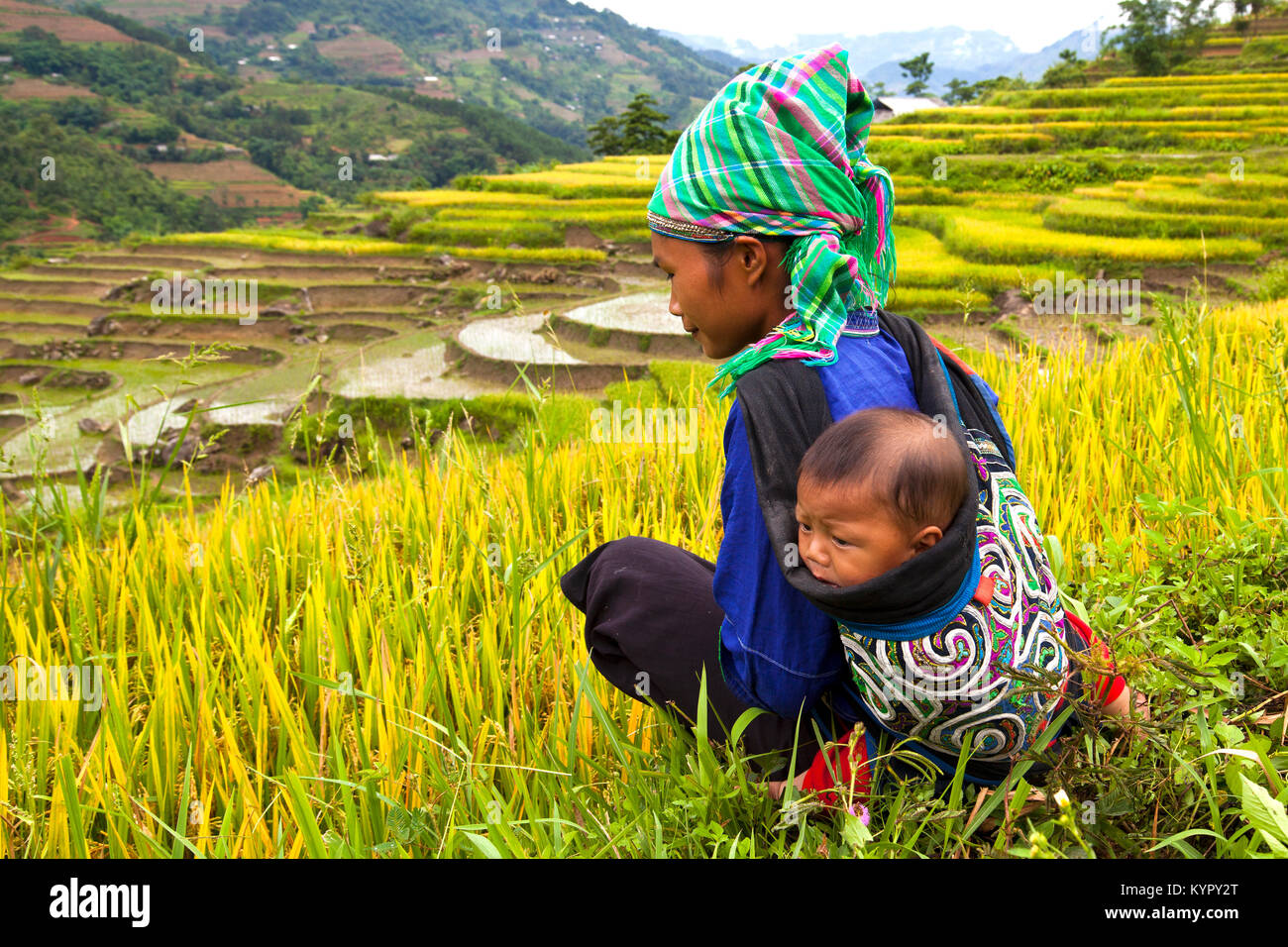 Young woman carrying her baby boy while working on the rice terraces in Hoang Su Phi, Ha Giang province, in the mountainous northwestern Vietnam. Stock Photo