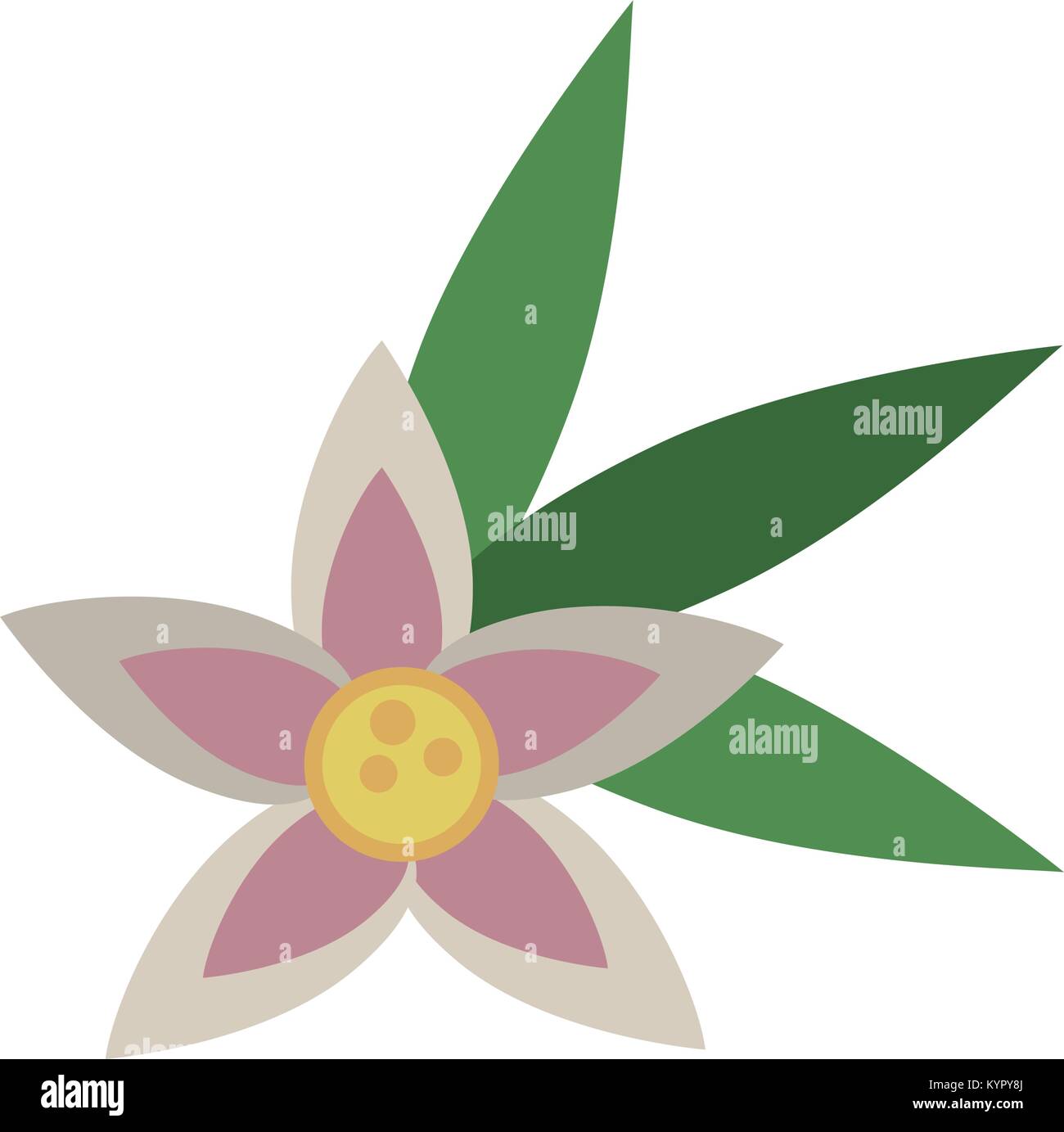 Beautiful flower isolated Stock Vector Image & Art - Alamy