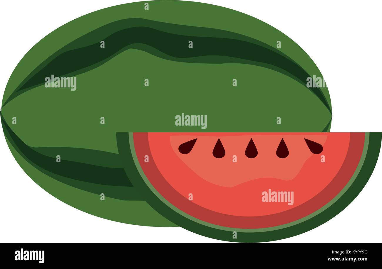 Watermelon fruit isolated Stock Vector Image & Art - Alamy