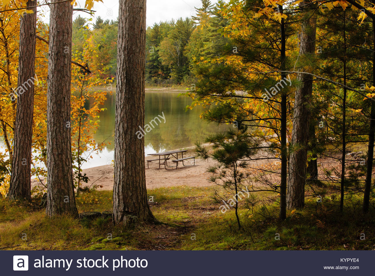 Autumn Colors In Vilas Park Lagoon >> In Late September As The Colors Are Changing Solitude Returns To Autumn Colors In Vilas Park Lagoon >> In Late September As The Colors Are Changing Solitude Returns To