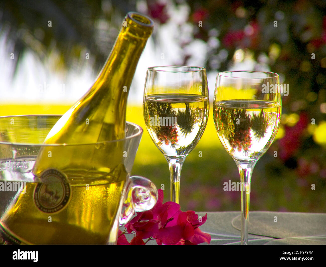 Two freshly poured glasses of chilled white wine on alfresco garden terrace table with bougainvillea flowers and palm trees behind in sunny luxury vacation holiday setting Stock Photo