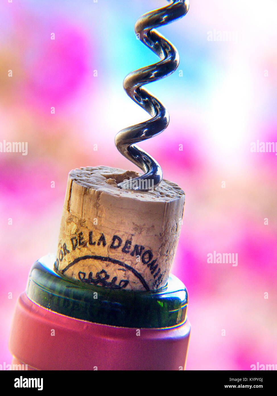Spanish red wine bottle close up pulling cork with corkscrew in alfresco holiday vacation setting flowers garden pool Stock Photo