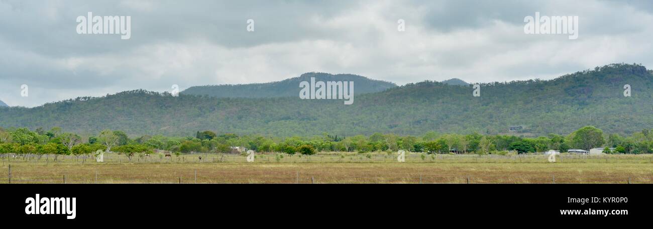 Farmland with dry sclerophyll eucalypt forests interspersed with grassland and mountains in the background, Bowen to Townsville, Queensland, Australia Stock Photo