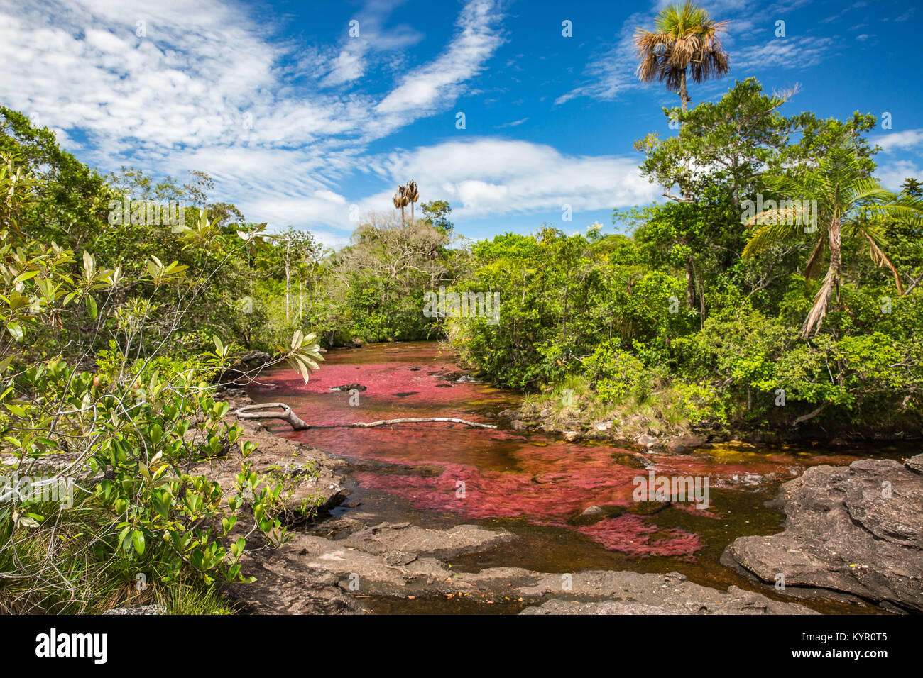 La Macarena, an isolated town in Colombia's Meta department, is famous for Caño Cristales, the River of Five Colors. Stock Photo