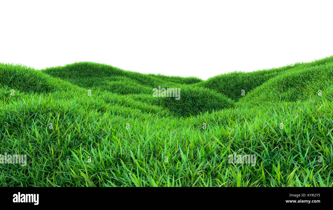 Green grass field isolated on white background Stock Photo - Alamy