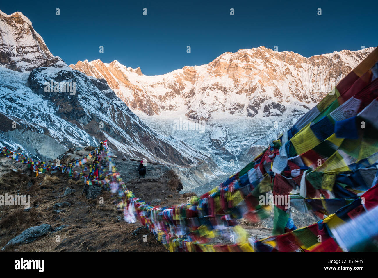 Annapurna Base Camp, ABC, Nepal, Asia Stock Photo - Alamy