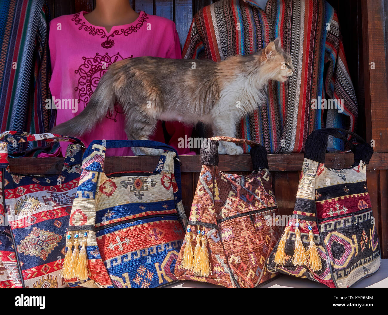 YFMHA Fashion Crossbody Bags Leather Women Cute Cat Shoulder Handbags Totes  with Purse - Walmart.com